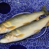 肴ならではの川魚料理　【天然鮎の塩焼き】