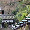 長楽寺の朝の勤行