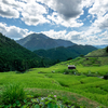 三重県の絶景、日本一の棚田景観とも言われる丸山千枚田へ。よりみち多め。