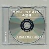 ポストＳＭＡＰ時代の到来と芸能界のグローバル化についての小論：ＮＣＴ、ＳＪそして東方神起。