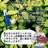 【DHC商品レビュー】薬用エイジアホワイトエッセンス