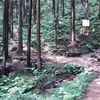日和田山　案内3　滝不動左端の道