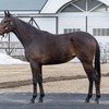 【東サラ】残口あり募集馬の再検討～プレシャライジング22～