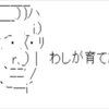 つかいたくなる・菊芋・善玉コレステロールなどなかったんや