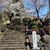 小山田家菩提寺”桂林寺”の桜