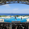 2023年4月沖縄旅行2日目②：美ら海水族館