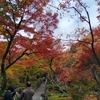 錦秋の嵯峨嵐山めぐり　①宝筐院