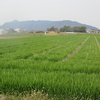 「野」の音訓分野　　　