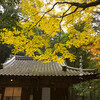 崇導神社