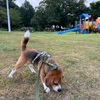 夏の終わり？
