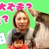 9月30日の動画