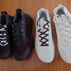 NIKE Pegasus Trail 4 GORE-TEX〔2024年 結果的に一番愛用したスニーカー〕NIKE ZOOMX ZEGAMA TRAIL