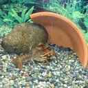 いまはここにいる