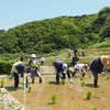 今年も白米千枚田で田植えがおこなわれました♪