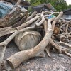 突然チェーンソーが停止
