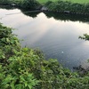今週の釣果報告🎣栃木県宇都宮市某池