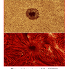 ザ・サンダーボルツ勝手連   ［Sunspot Penumbra Shock Astrophysicists   黒点ペニュンブラ（半影）は、天体物理学者達に衝撃を与える］