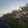 4月の日誌的②