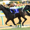 キタサンブラックが初年度産駒だけで芝G1障害G1ダートjpn1勝利