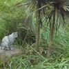 秋の蚊は気合いが違う