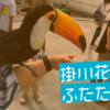 【お出かけ】掛川花鳥園、ふたたび【静岡】