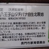 長門市の天然記念物「青海島八王子山タチバナ自生地北限地」です。