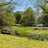 ロケハン&ウォーキング その1 ─ 2023.4.23 富山県中央植物園 ─