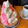 ナスを植える前のマグロの交換プロジェクト