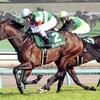 競馬初心者必見☆馬券予想🔥〜ダービー卿チャレンジT〜穴馬から決死の勝負！