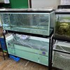 ウーパールーパーのための大仕事