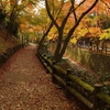 京都紅葉の旅　～北野天満宮のもみじ苑　続き～