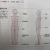 アスレティックトレーナーによる姿勢評価