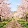 「説明したのに伝わらない」と感じたことはありませんか