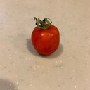 トマトブログ