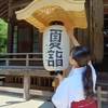 「夏詣」が始まります