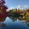 やっと行けた相性の良い寺☆永観堂