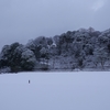 金沢雪景色「金沢城石垣・兼六園瓢池」