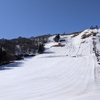 ハチ北でアルペンボード🏂／３９日目