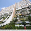 What is Degrowth?