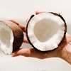 ココナッツの減量に関する科学的な分析