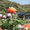 初夏雑詠（１）