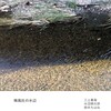 【感想文】『稀風社の水辺』