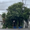 東京下町さんぽ 猫と蔦物件｜小岩・柴又界隈