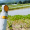 田舎は娯楽がないですって⁇