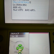 色違いポケモン カテゴリーの記事一覧 ゲームロッカールーム