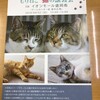 NPO法人もりねこさんの猫の譲渡会が開催されます。