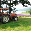 【南富良野】かなやま湖のハスカップでジャムづくり
