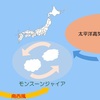 モンスーンジャイアに関する雑学！