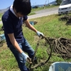  陸前高田合宿レポート 4回生 (4) エゾイシカゲ貝