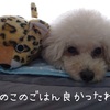 ～このこのごはんで痒み改善～
